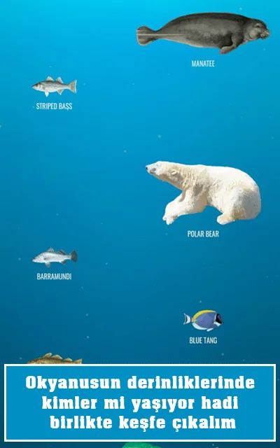 Okyanusun derinliklerindeki canlıları keşfetmenizi sağlayan Deep Sea sitesi